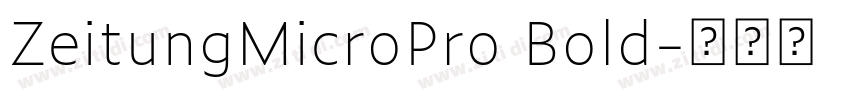 ZeitungMicroPro Bold字体转换
